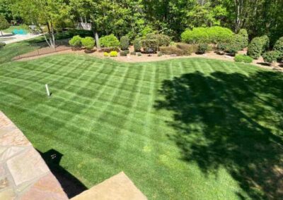 Lawn service 3